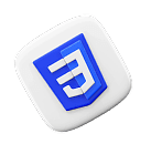 CSS